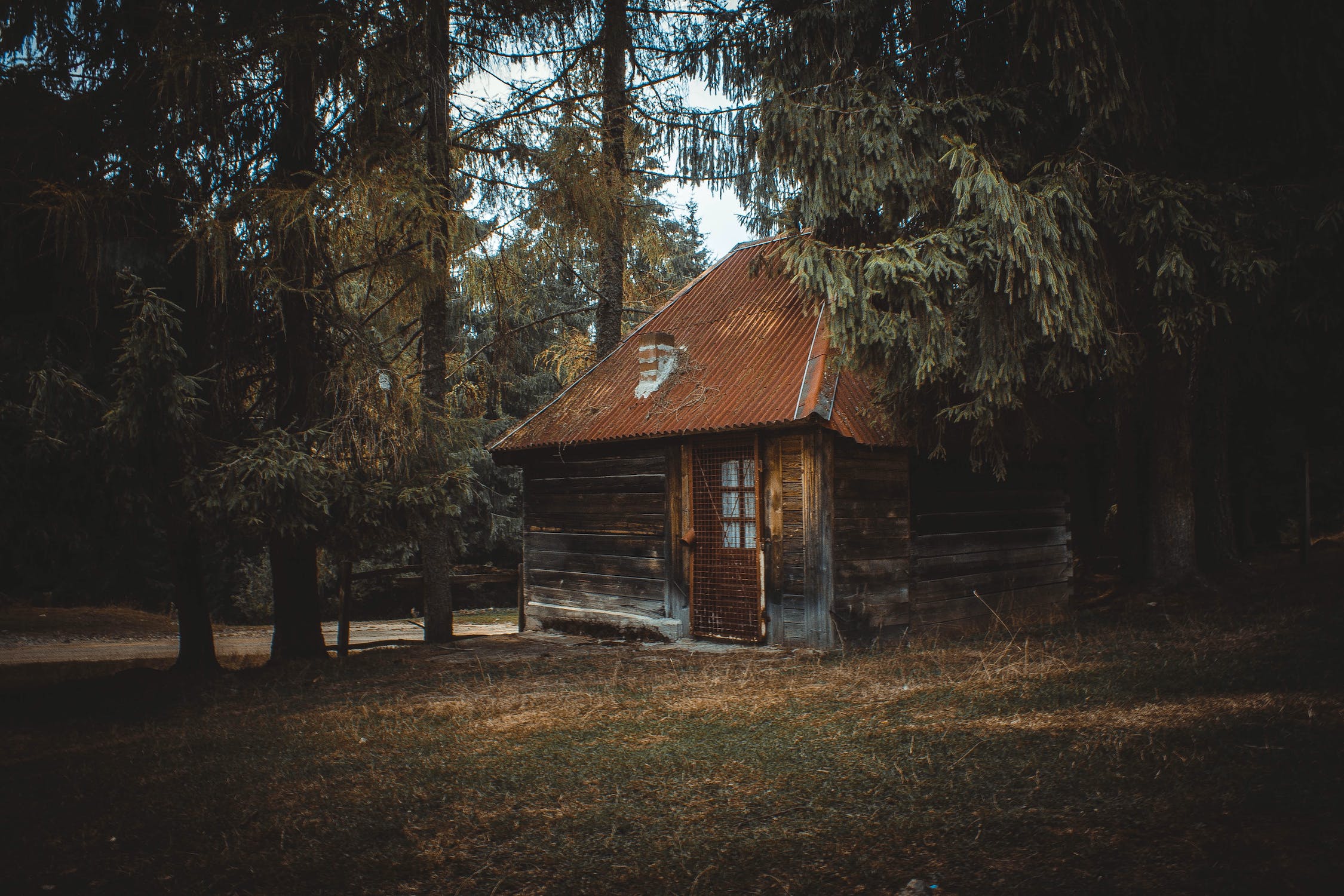 cottage in boreal forest